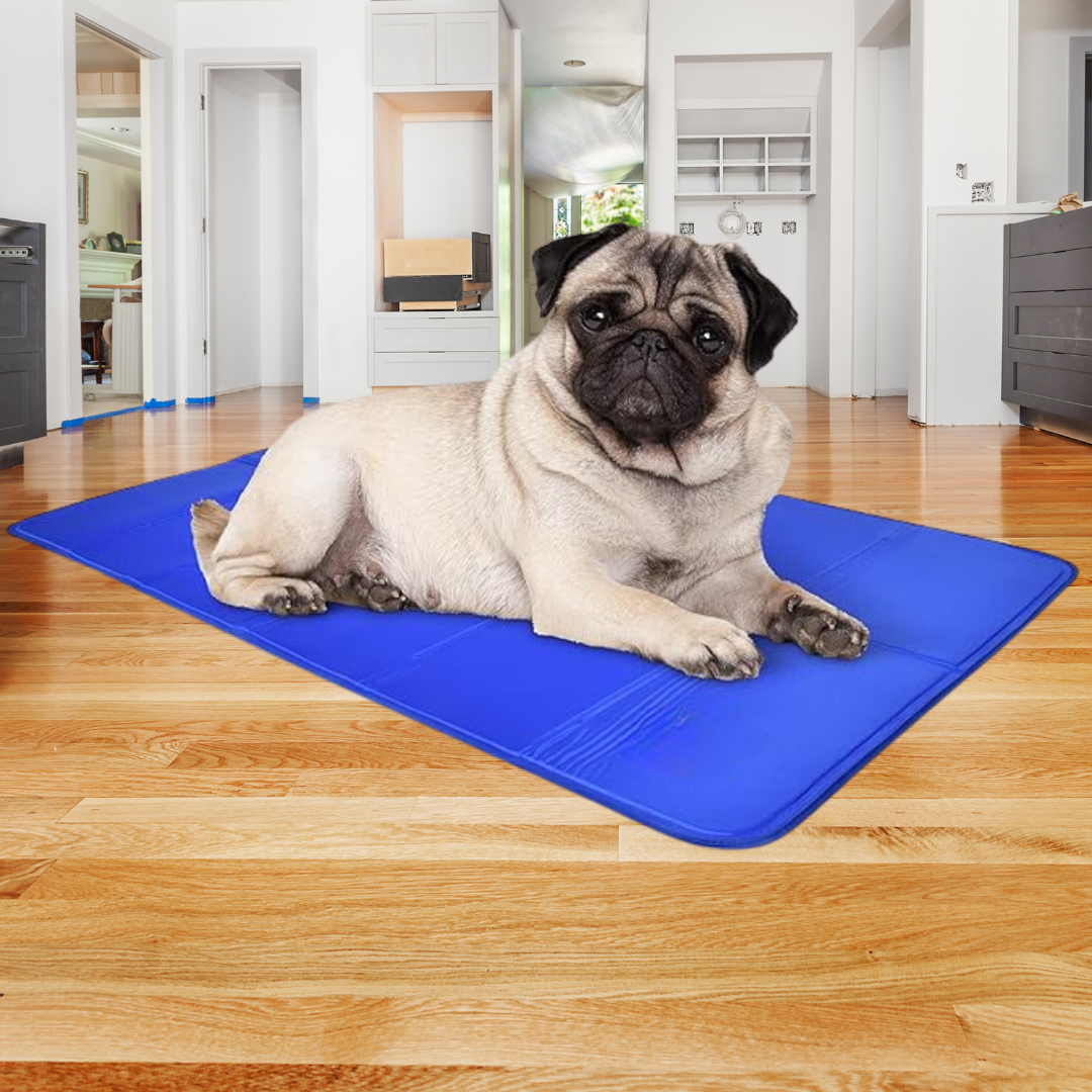 Pet Cooling Mat All day Cooling Comfort Pain Free Aussies