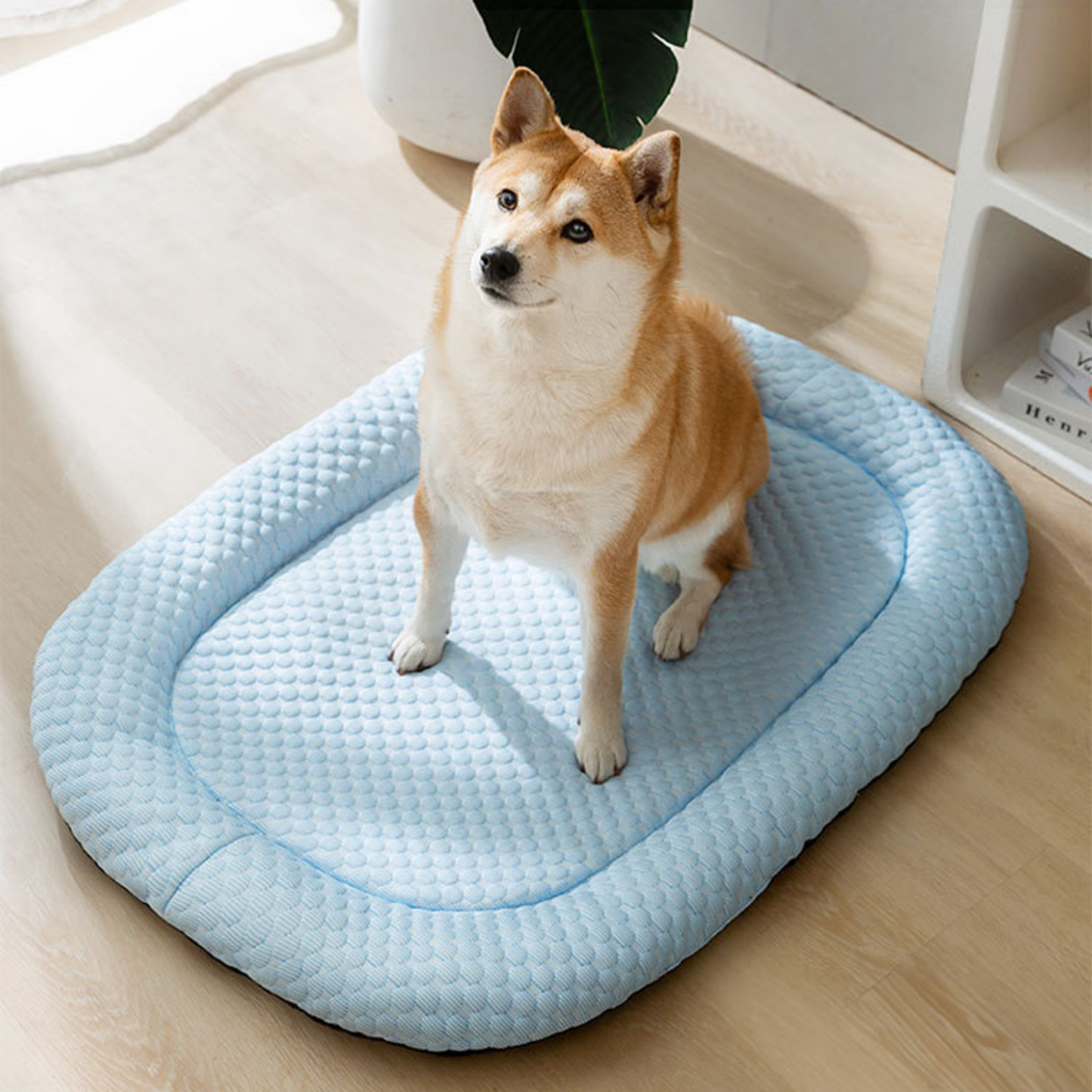 Ice Cooling Calming Pet Bed