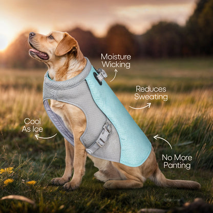 Pet Dog Summer Cooling Vest - Reflective Cooling and Breathable - Buy 1 Get 1 Free