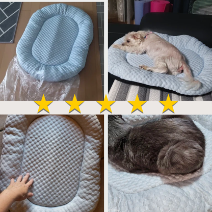 Ice-Silk Cooling Pet Bed