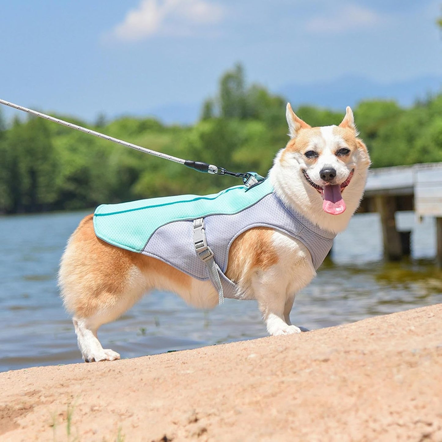 Pet Dog Summer Cooling Vest - Reflective Cooling and Breathable - Buy 1 Get 1 Free