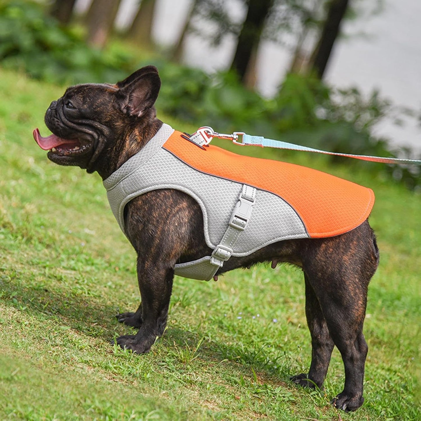 Pet Dog Summer Cooling Vest - Reflective Cooling and Breathable - Buy 1 Get 1 Free