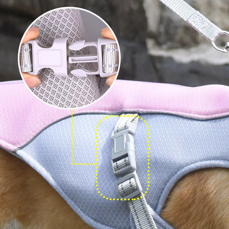 Pet Dog Summer Cooling Vest - Reflective Cooling and Breathable - Buy 1 Get 1 Free